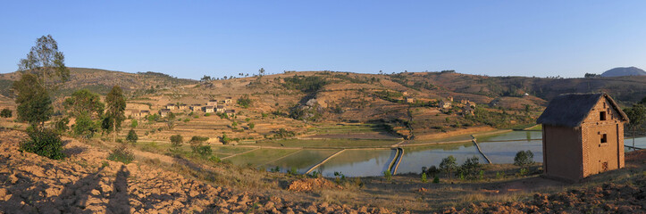 Reisfelder bei Ambalakely