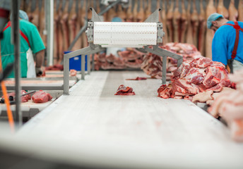 meat and sausage production