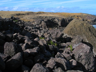 Eastern Island. Isla de Pascua. Rapa Nui. Chile