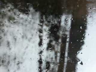 Droplets To The Garden