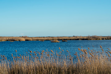 The prat de cabanes and torreblanca in castellon