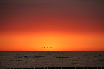 abendrot, meer, sonne, ozean, himmel, wasser, beach, sonnenaufgang, cloud, horizont, orange, natur, küste, abend, abenddämmerung, landschaft, schön, rot, welle, licht, gold