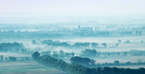 Landscape fields and trees among covered with fog