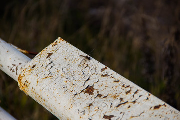 old fence