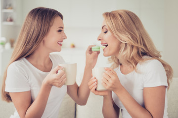 Obraz na płótnie Canvas Close up photo two people mom and teenager daughter communicating buddies hold hot beverage giving try sweets laugh laughter wear white t-shirts jeans in bright flat sit on comfortable sofa