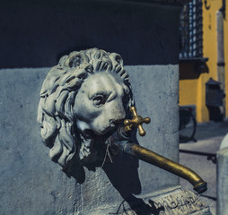  faucet with a lion's head  Lucca, Italy