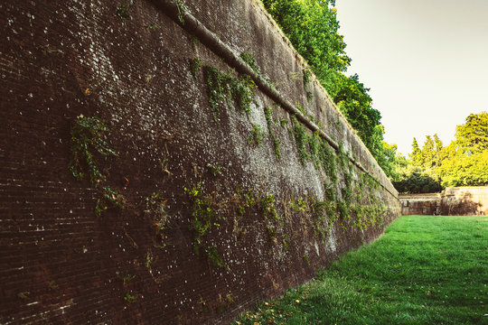the medieval wall in Lucca