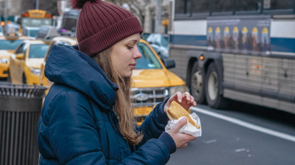 Typical street food in New York the famous hot dog
