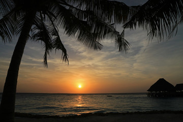 Fototapeta na wymiar Sunset in Nungwi, Zanzibar, Tanzania