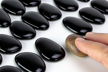 Black pebbles on white background with brown pebble.