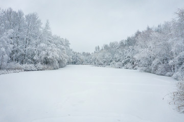 Aerial view of winter beautiful landscape with trees covered with hoarfrost and snow. Winter scenery from above. Landscape photo captured with drone.