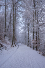 Road towards the castle in Uster, Switzerland