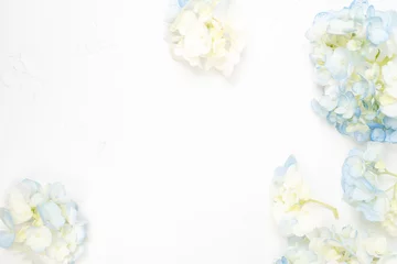Schilderijen op glas Hydrangea flower white background floral flat lay © IlzeLuceroPhoto