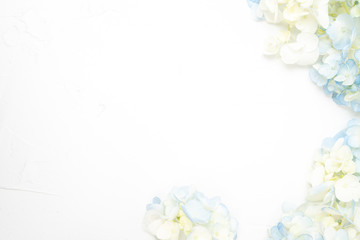 Hydrangea flower white background floral flat lay