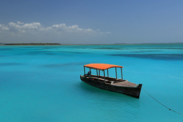 Obraz premium Coast in Nungwi, Zanzibar, Tanzania
