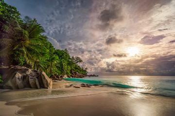 Fototapeta na wymiar paradise beach at anse georgette, praslin, seychelles 19