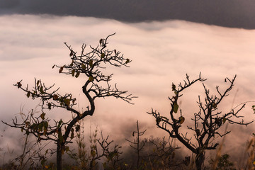 Sunrise viewpoint And fog covering mountains, Thailand