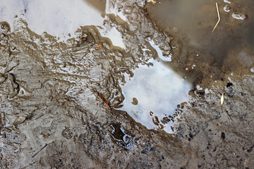 Mud water puddle rain surface texture pavement street