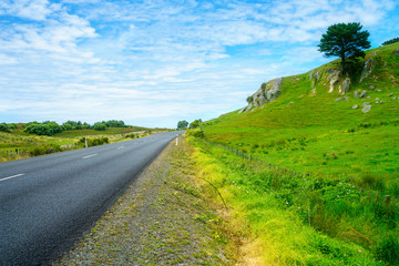 road in green hills,coromandel peninsula, new zealand 19