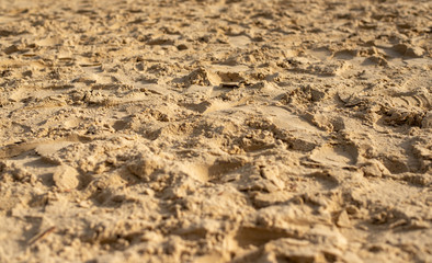 Fototapeta na wymiar Sand with footprints