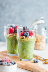 Chia pudding with matcha tea, organic granola, frozen berries in glasses. The concept of healthy vegan food.