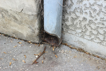 Downspout waterspout rainwater drainage pipe building 