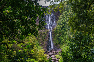 wairere falls, waterfalls, bay of plenty, new zealand 1
