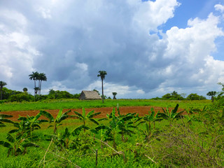 Fototapeta na wymiar Beautiful colorful countryside in Cuba