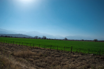 Obraz premium Campus and relax