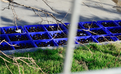 cased empty beer bottles