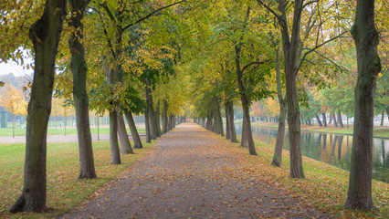 Fototapeta na wymiar Autumn in city park