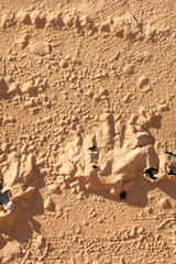 Paint peeling off wall