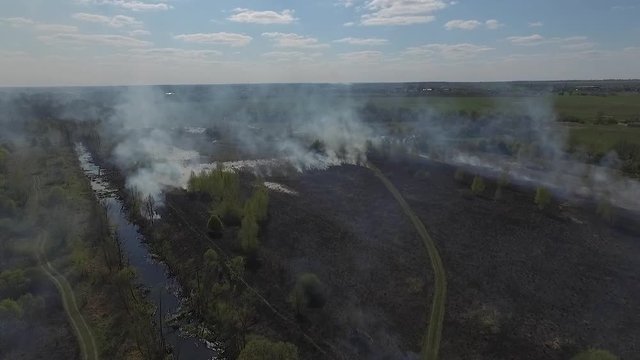 In the spring, dry grass caught fire in the meadow. The fire brigade arrived at the scene of the incident and began to extinguish the center of fire.