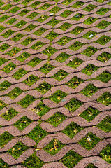 perforated sidewalks with grass (wide)