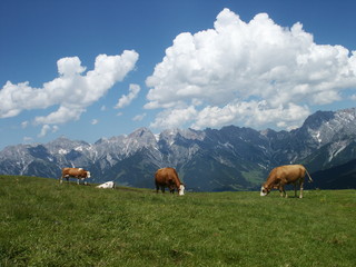 Alpenwelt