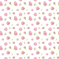 Watercolor pattern of pion flowers on white background
