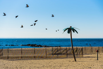 coney island beach