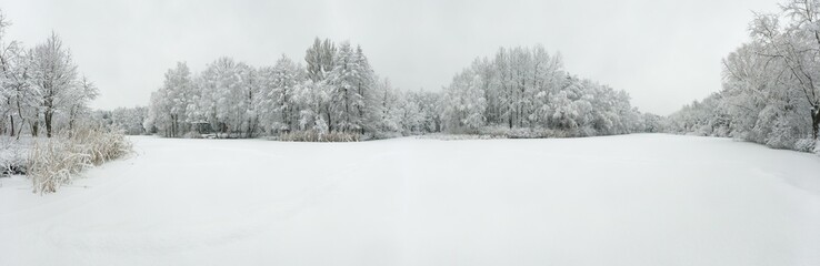 Panoramic aerial view of winter beautiful landscape with trees covered with hoarfrost and snow. Winter scenery from above. Landscape photo captured with drone.