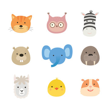 Faces of cute animals. Elephant, hamster, Zebra, cat, chicken, beaver, owl, llama, walrus.