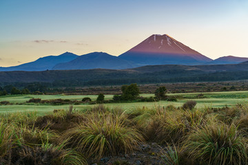 Obraz premium Cone volcano,sunrise,Mount Ngauruhoe,New Zealand 9