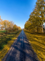 Autumn Fall, Road landscape - beautiful autumnal colors, sunny day, bright yellow leaves, travel concept, vertical photo