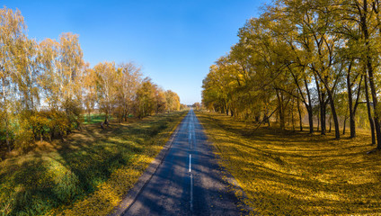 Autumn Fall, Road landscape - beautiful autumnal colors, sunny day, bright yellow leaves, travel concept