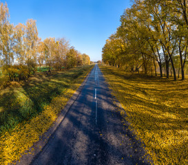 Autumn Fall, Road landscape - beautiful autumnal colors, sunny day, bright yellow leaves, travel concept