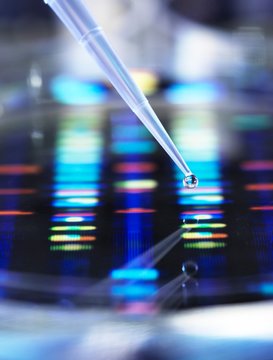 DNA Research
