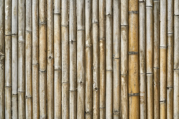 Asian traditional bamboo wall made of vertical trunks