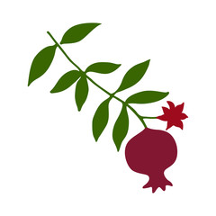 Sketch with pomegranate on branch with green leaves and flower silhouette. Red pomegranate fruit icon vector illustration.