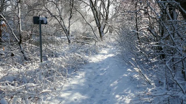 Winter am Ammersee, Bayern, 