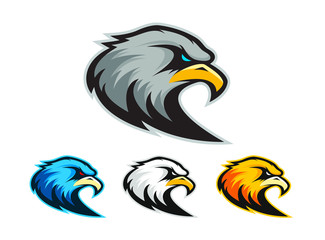 Logo of eagle for a sport team