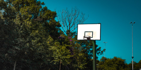 basket