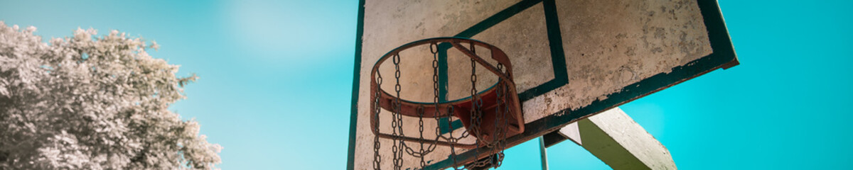 basket